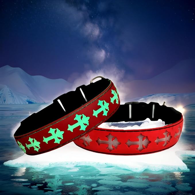 Light Up Glow Dog Collar with Chinese Style Holder Compatible with AirTag