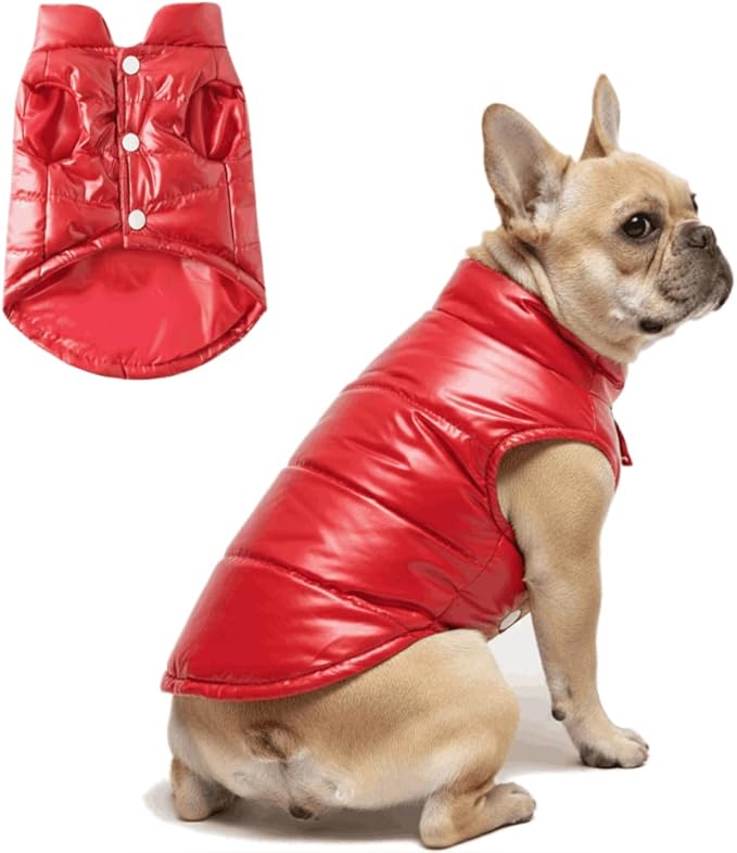 Winter Dog Coat for Small Dogs Chihuahua Warm Jacket for Medium Pet Coats, XXL
