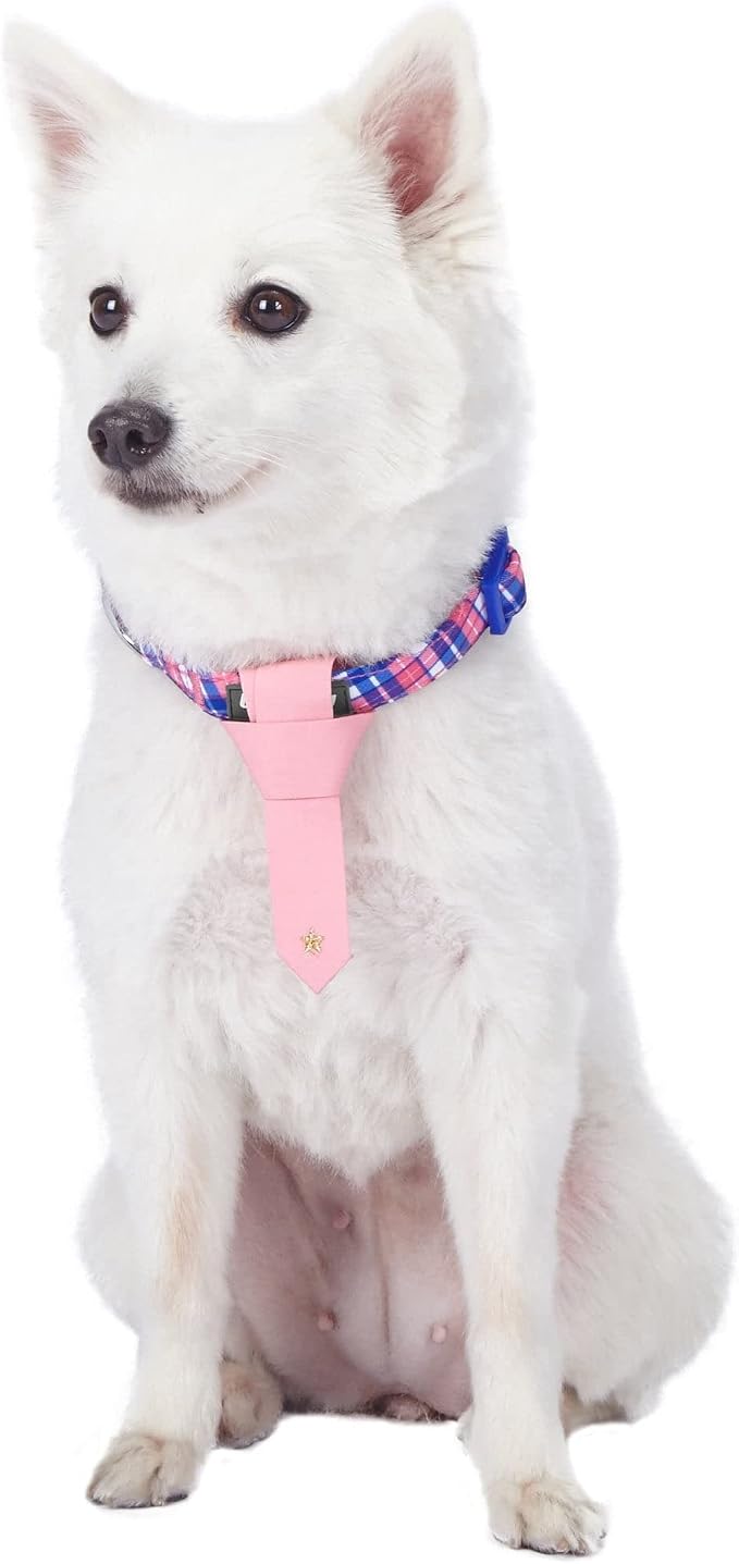 Blueberry Pet 4 Patterns Multiple Hues Scottish Plaid Style Adjustable Tie Dog Collar, Medium, Neck 14.5"-20"