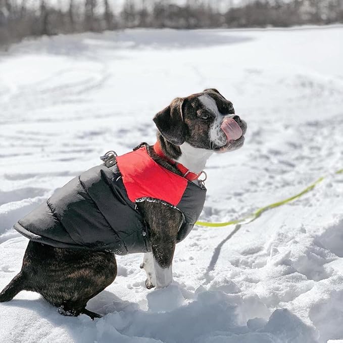 Gooby Padded Vest Dog Jacket - Red, X-Large - Warm Zip Up Vest Fleece Jacket with Dual D Ring Leash Water Resistant for Small to Medium Dogs