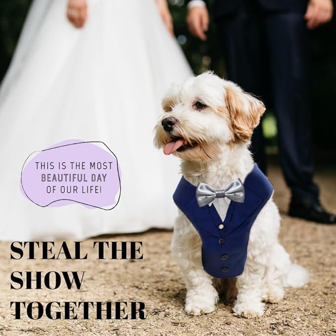 AVERYDAY Dog Tuxedo for Wedding Outfit, Dog Suit and Tie Costumes for Birthday, Halloween, Cosplay, Christmas Party, Pet Formal Wear with Bowtie, Tux for Small Dogs, Chihuahua, Bichon, Maltese, Cats