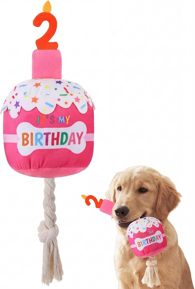 Dansydaisy Dog Birthday Cake Toy Squeaky Plush Gift,2nd,Rose Pink