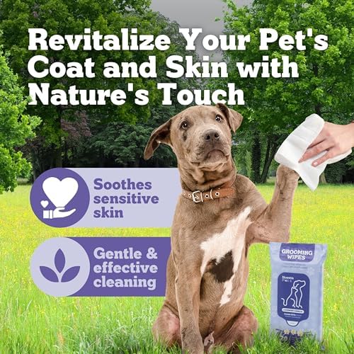 Pets XL Hypoallergenic Lavander Dog Grooming Cleaning Cloths 4 Pack