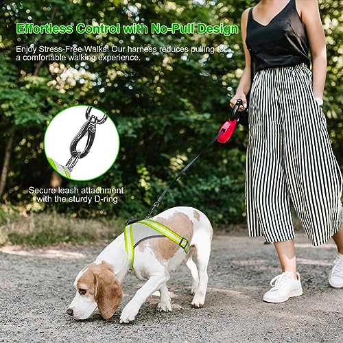 Visinite LED Dog Harness, USB Rechargeable Light Up Dog Vest, 2 Illuminate Modes Glow in The Dark Dog Harness, Adjustable Lighted Pet Harness Light for Night Walking Safety (Green, S)