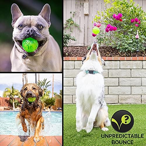 Hyper Pet DuraSqueak Dog Ball Toy, Interactive Dog Toys that Float and Squeaks for Playing, Fetching and Retrieving-Great Alternative to Traditional Tennis Balls Green 2.5 Inch