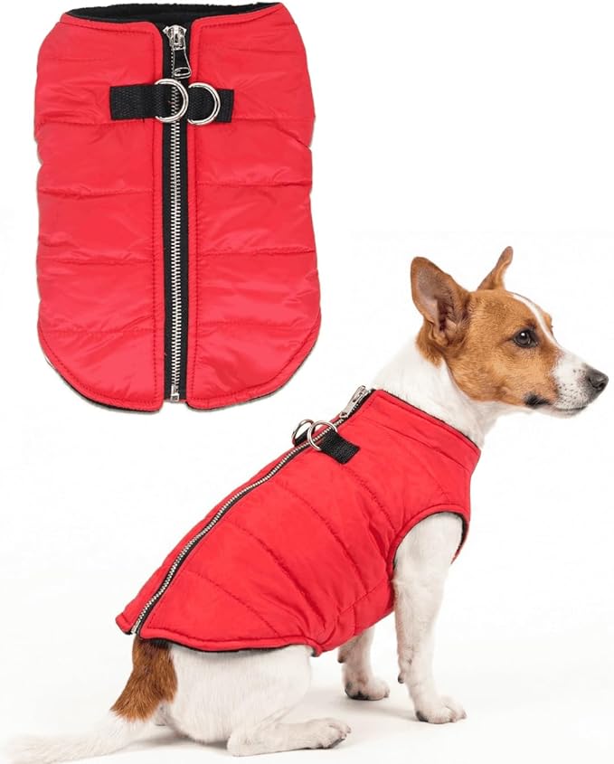 Puppy Winter Coats - Small Dog Jackets, Waterproof, Lightweight Insulated Bomber Jacket