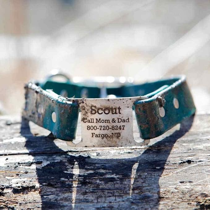 dogIDs Personalized Dog Collar – ScruffTag Custom Waterproof Biothane Dog Collar with Laser-Engraved Name, Durable & Odor-Resistant – USA Made | Lavender, 1 in x 22 in (Fits Neck Sizes 20-24 in)