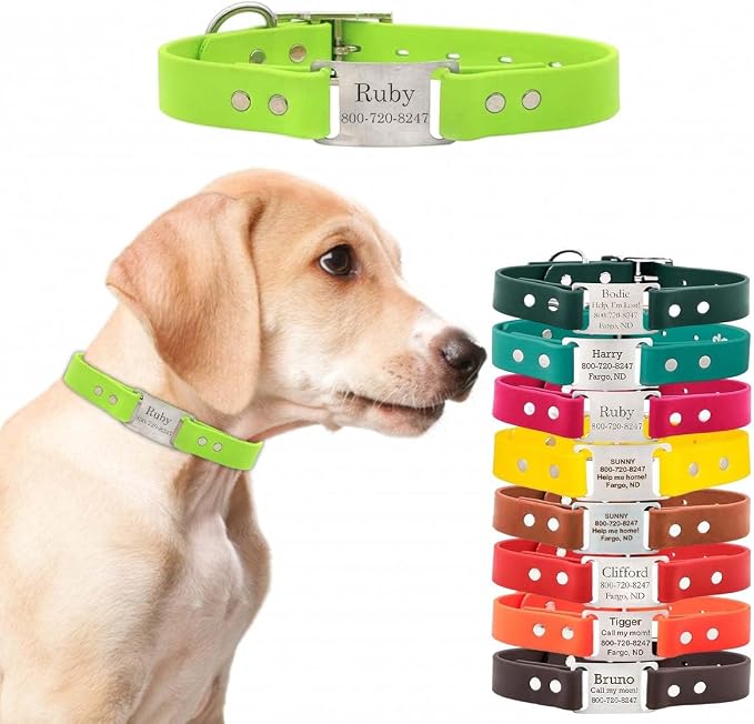 dogIDs Personalized Dog Collar – ScruffTag Custom Waterproof Biothane Dog Collar with Laser-Engraved Name, Durable & Odor-Resistant – USA Made | Margarita, 3/4 in x 14 in (Fits Neck Sizes 12-16 in)