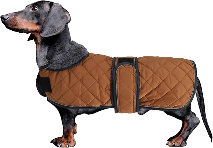 Dachshund Coat Dog Coats for Dachshunds Dachshund Winter Jacket with Padded Fleece Outdoor Dog Clothes with Adjustable Bands - Brown - XS