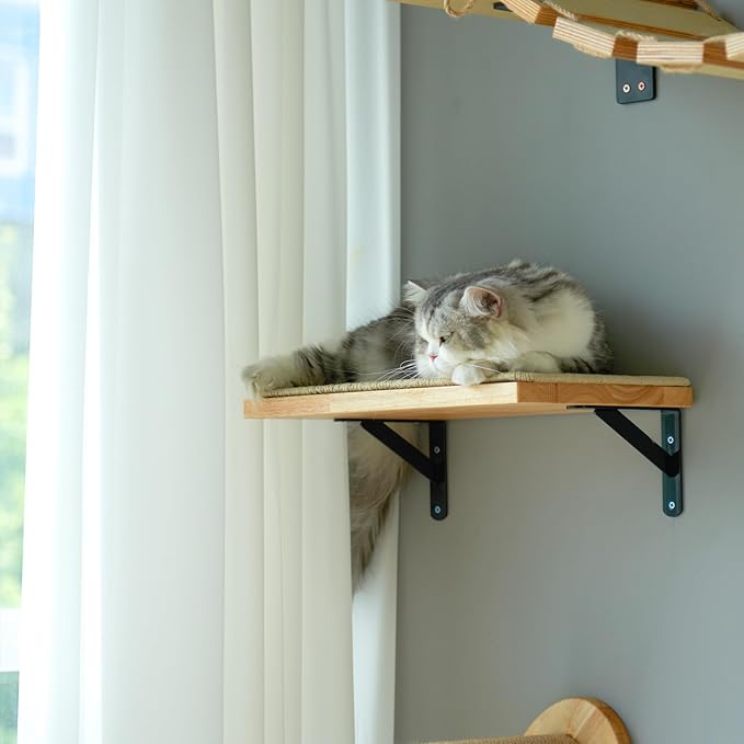 FUKUMARU Cat Wall Shelves, 16 x 10 Inch Cat Walls Furniture with Sisal Mat, Solid Rubber Wood Floating Shelf with Upgraded Installation, Kitten Wall Tree for Sleeping, Playing and Scratching