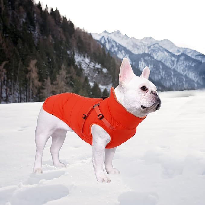 Geyecete Winter Warm Coat Waterproof Dog Winter Jacket with Harness Traction Belt,Windproof Pet Outdoor Jacket Dog Autumn-Orange-S