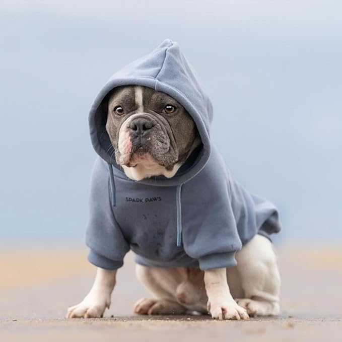 Spark Paws Dog Hoodie – Premium Dog Sweater for Small, Medium, and Large Dogs | Warm Outfits for French Bulldogs, Pitbull, Puppy, Winter Jacket Alternative - Slate Blue - M