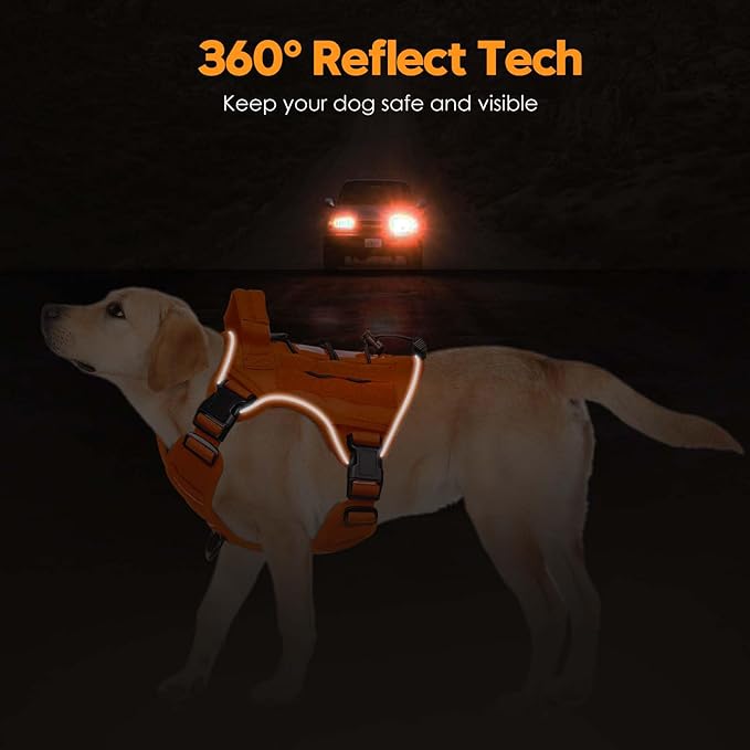 Heavy-Duty Tactical Dog Harness for Large Dogs, No Pull Adjustable Reflective Pet Vest with Molle System, K9 Military-Grade Control for Service Training, Outdoor & 10+ Breeds, Orange, Small