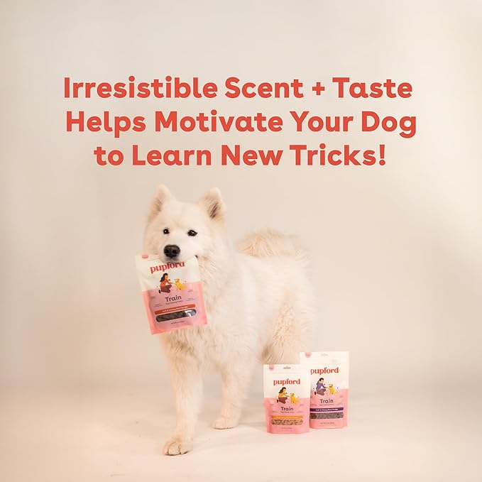 Pupford Soft & Chewy Training Treats for Dogs & Puppies (Beef, 10 oz)
