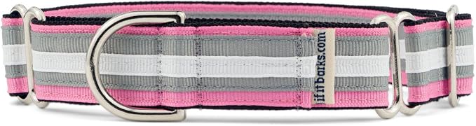 If It Barks 1" Martingale Collar for Dogs, Adjustable Nylon, USA Made, Large, Spunky