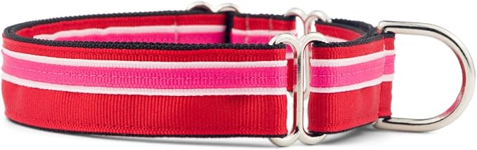 If It Barks 1" Martingale Collar for Dogs, Adjustable Nylon, USA Made, Small, Shortcake