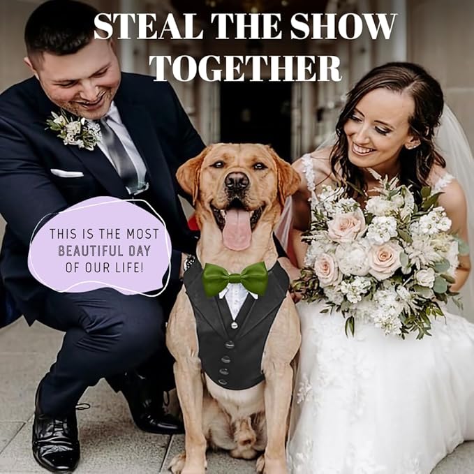 AVERYDAY Dog Tuxedo for Wedding Outfit, Dog Suit and Tie Costumes for Birthday, Halloween, Cosplay, Christmas Party, Pet Formal Wear with Bowtie, Tux for Medium Large Dogs, Bulldog, Labrador, Husky