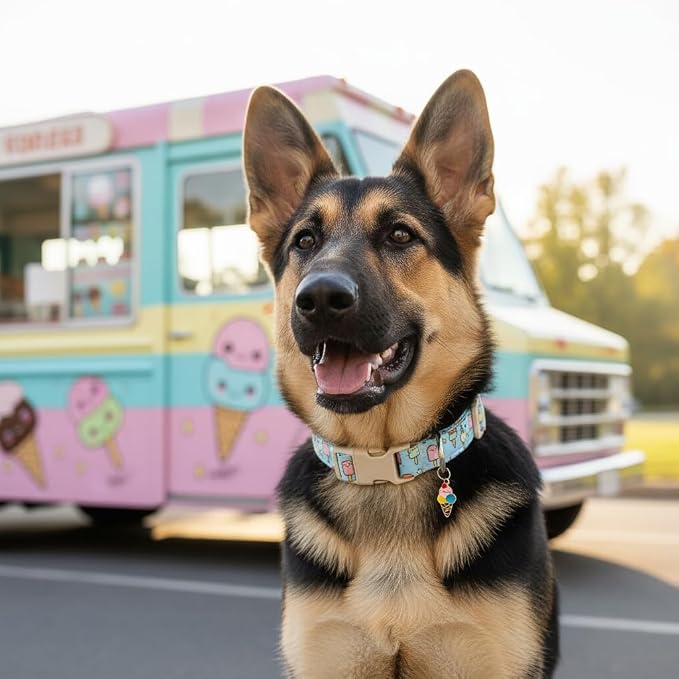 Small Dog Collar, Cute Dog Collar with Ice Cream Print and Charm for Girls Boys Dogs, Adjustable Blue Pet Collar for Small Dogs, Spring Summer Design Collar, S