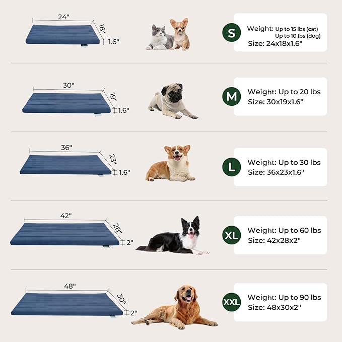 BALANCE Dog Crate Bed, Orthopedic Dog Bed Pad with Waterproof Liner, Washable Crate Foam Pet Mat for Large, Medium, Puppy Dogs Breeds, Mint Leaf, 24"x18"x1.6"