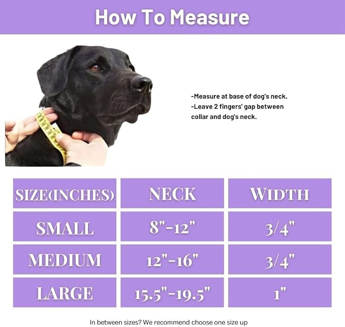 Waterproof Dog Collar, Soft Comfortable Pet Collars, Adjustable Odor Proof Heavy Duty Dog Collars Easy to Clean for Large, Medium Small Dogs by Bee N Buu (Purple, Small (length8-12, Width 3/4"))