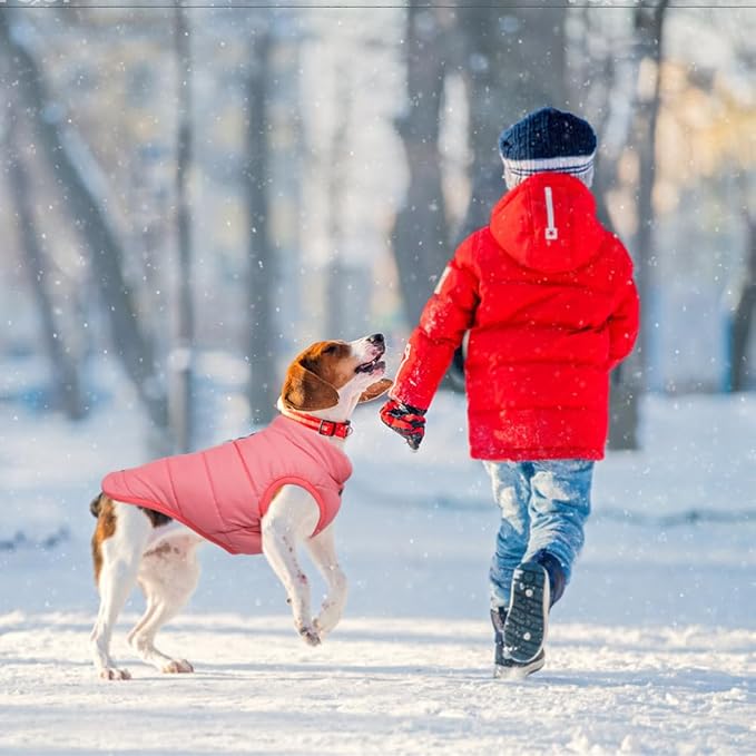 Warm Dog Coat, Windproof Dog Jacket Fleece Pet Winter Coats Solid Color Dogs Clothes Cold Weather Pet Jacket Vest Soft Puppy Apparel for Small Medium Dogs Cat (XXL, Pink)