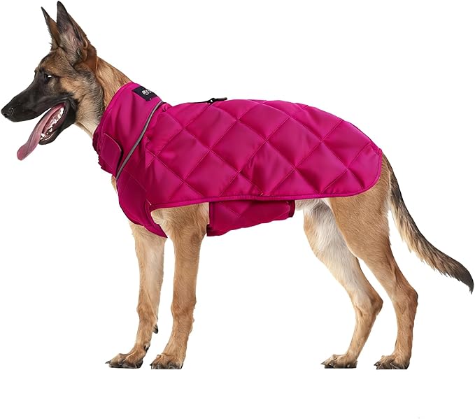 Weighted Dog Vest, Tactical Weight Coat with Beads for Dogs Anxiety- Relieve Stress, Build Muscle & Optimize Health, Premium Heavy Duty Dog Training Jacket for Exercise and Strength (Red, XL)