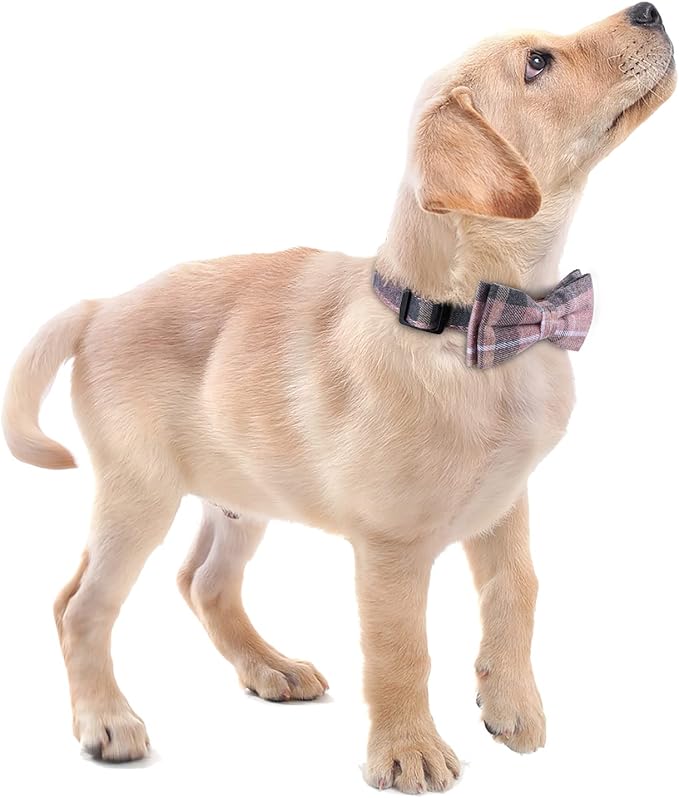 Faleela Cute Soft Girl Dog Collar with Bow, Bowtie Dog Collar for Boy,Detachable Adjustable Collar for Small Medium Large Pet
