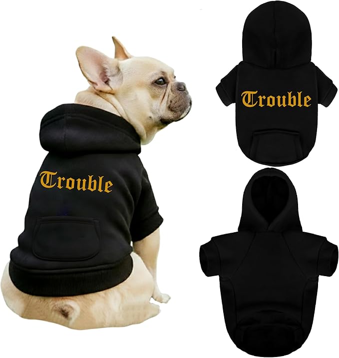 Personalized Name Dog Hoodie, Printed/Embroidered Puppy Sweater with Name/Text, Custom Security Clothes Warm Winter Dog Outfit, Bright Puppy Sweatshirt, Pet Birthday Outfit, Gift for Dogs Lovers 03