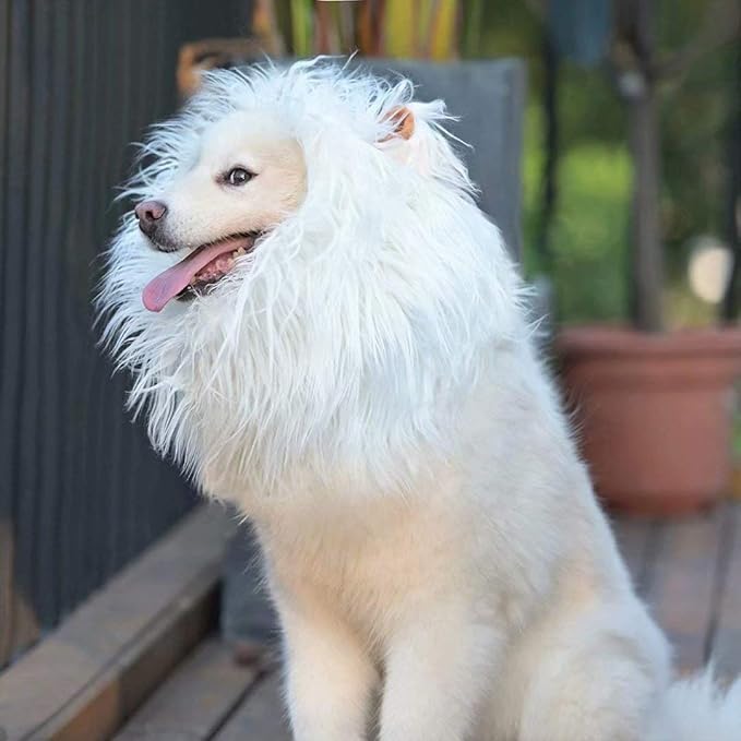 Lions Mane for Large Dog Halloween Costumes, Pet White Wig with Ears