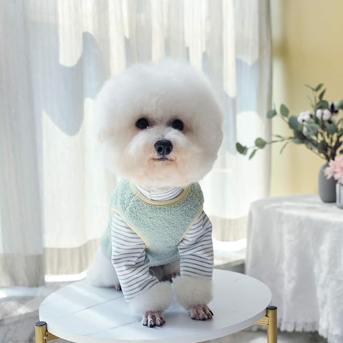 Warm Plush Dog Vest for Winter Soft Fleece Lining Sweater for Small dog Cat Cute Puppy Kitten Clothes Green 18