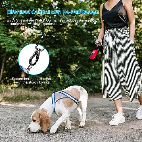Visinite LED Dog Harness, USB Rechargeable Light Up Dog Vest, 2 Illuminate Modes Glow in The Dark Dog Harness, Adjustable Lighted Pet Harness Light for Night Walking Safety(Blue, M)