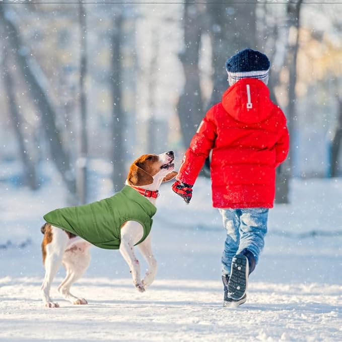 Warm Dog Coat, Windproof Dog Jacket Fleece Pet Winter Coats Solid Color Dogs Clothes Cold Weather Pet Jacket Vest Soft Puppy Apparel for Small Medium Dogs Cat (S, Green)