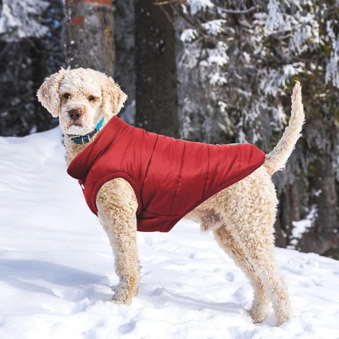 Warm Dog Coat, Windproof Dog Jacket Fleece Pet Winter Coats Solid Color Dogs Clothes Cold Weather Pet Jacket Vest Soft Puppy Apparel for Small Medium Dogs Cat (XL, Red)