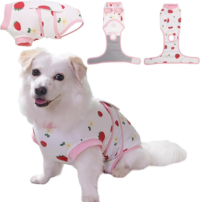 Dog Cat Recovery Suit Pet Glam After Surgery Onesie Cone Alternative Post Surgical Bodysuit Neuter & Abdominal Wound Care Cotton Prevents Licking Male Female (Fruit, XXL)