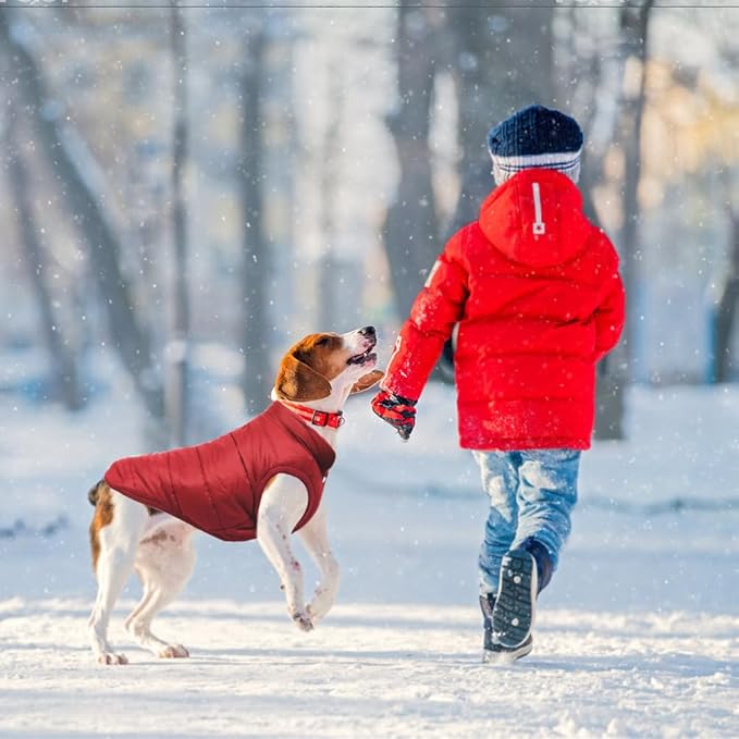 Warm Dog Coat, Windproof Dog Jacket Fleece Pet Winter Coats Solid Color Dogs Clothes Cold Weather Pet Jacket Vest Soft Puppy Apparel for Small Medium Dogs Cat (XL, Red)