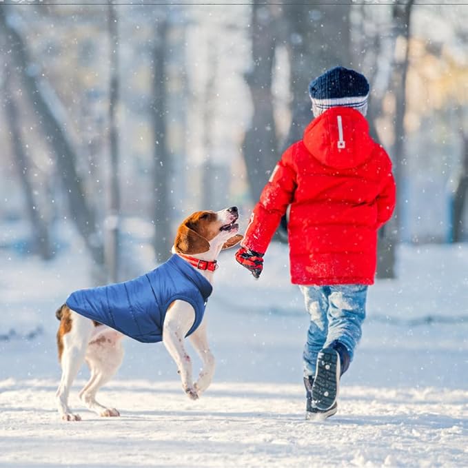 Warm Dog Coat, Windproof Dog Jacket Fleece Pet Winter Coats Solid Color Dogs Clothes Cold Weather Pet Jacket Vest Soft Puppy Apparel for Small Medium Dogs Cat (S, Blue)
