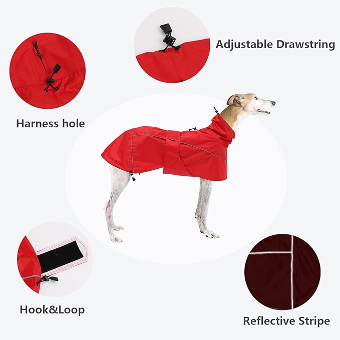 Greyhound Lurcher Raincoat, Whippet Rain Gear with Reflective Bar, Rain/Waterproof, Adjustable Bands and Drawstring in Autumn and Winter - Red - XXL