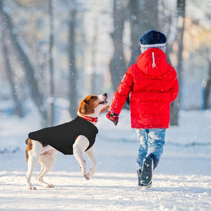 Warm Dog Coat, Windproof Dog Jacket Fleece Pet Winter Coats Solid Color Dogs Clothes Cold Weather Pet Jacket Vest Soft Puppy Apparel for Small Medium Dogs Cat (M, Black)