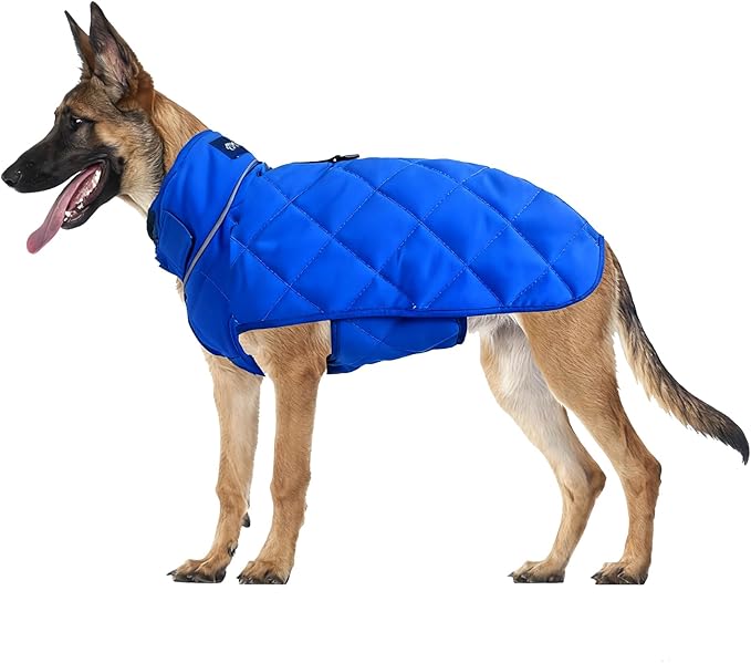 Weighted Dog Vest, Tactical Weight Coat with Beads for Dogs Anxiety- Relieve Stress, Build Muscle & Optimize Health, Premium Heavy Duty Dog Training Jacket for Exercise and Strength (Blue, XXL)