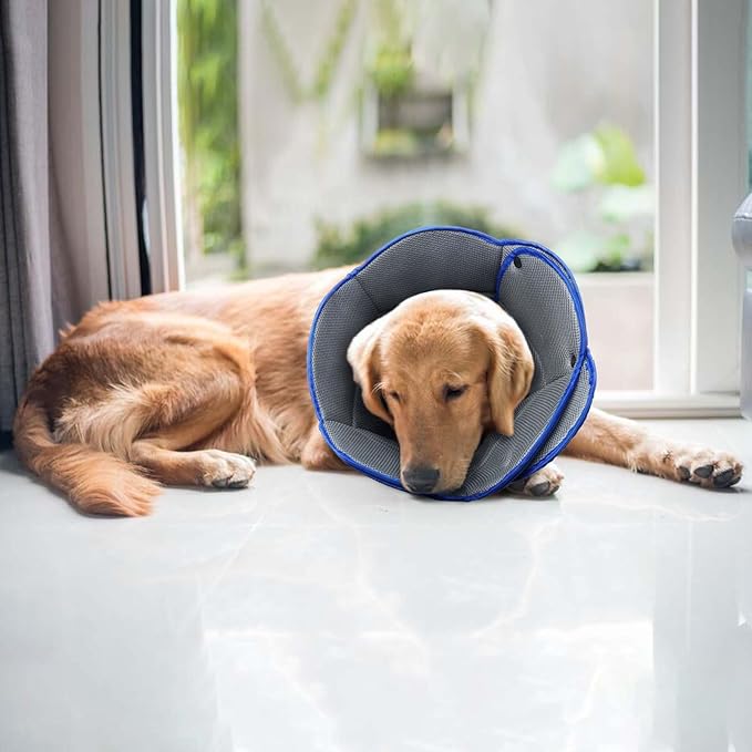 AuraPaw Soft Dog Cone Collar Alternative to Stop Licking,Comfort Recovery Collar for Large, Medium,Small Dogs,Adjustable Elizabethan Collar Alternative,Dogs Recovery Collar After Surgery,Blue,XL