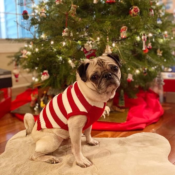 NACOCO Dog Sweater Pet Christmas Elk Bells Sweaters Halloween Reindeer for Small Dog and Cat(Red,XL)