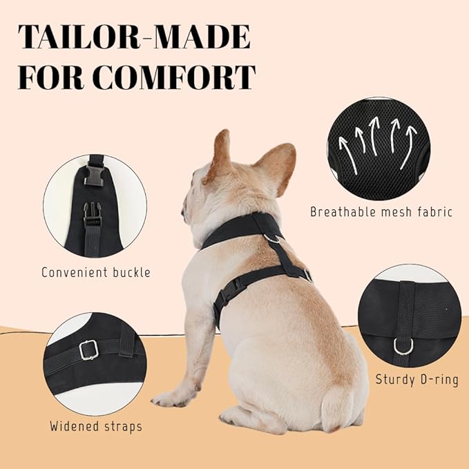 AVERYDAY XS Pet Tuxedo Harness, Wedding Costume Outfit for Small Dogs, Slim Cats and Tiny Pets with 9.1" Neck, 14.2-18.9" Chest, 9" Max Head Girth, Formal Suit Costume for Mini Breeds