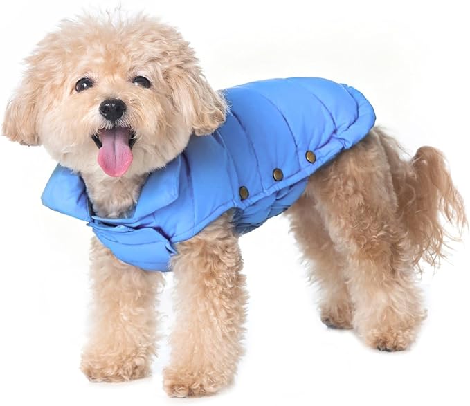 SPACE LION Dog Puffer Jacket, Down Winter Coat, Durable Outdoor Coat for Cold and Windy Conditions, Lightweight & Adjustable Fit Coats for Small Dogs, (Alaskan Blue, Size 10 Gift Box)