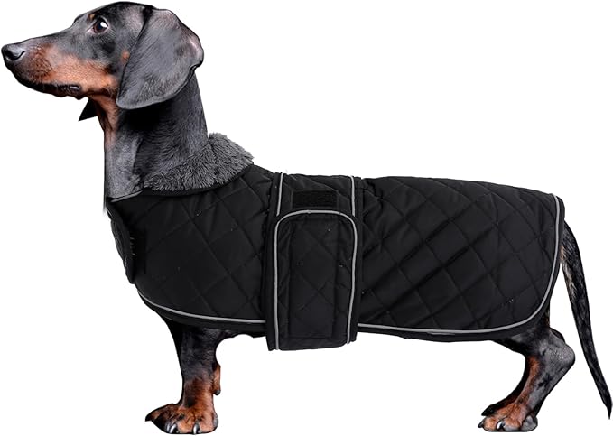 Dachshund Coat Dog Coats for Dachshunds Dachshund Winter Jacket with Padded Fleece Outdoor Dog Clothes with Adjustable Bands - Black - L