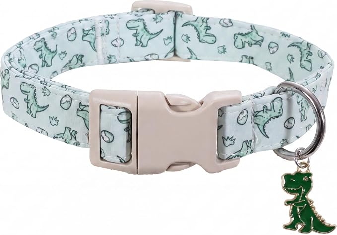 Dinosaur Dog Collar, Medium Dog Collar for Boy Girl Dog, M