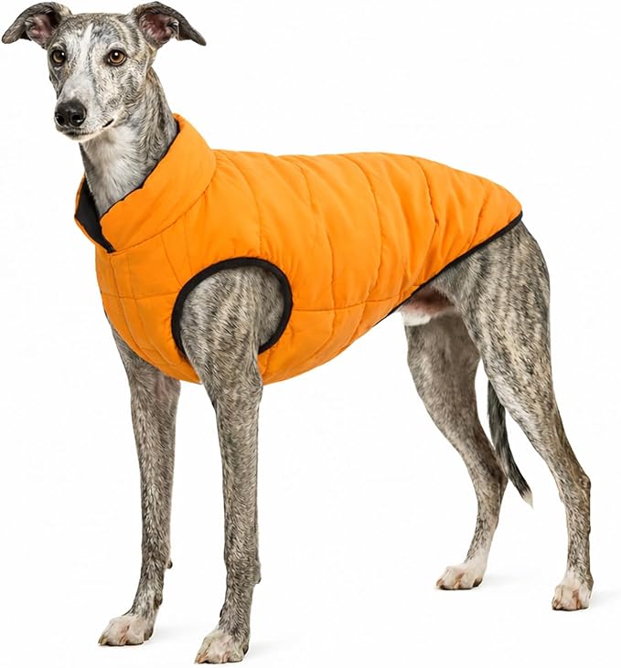 PetWarm Reversible Dog Cold Weather Coats, Waterproof Dog Puffer Vest, Vest for Dogs with Hook-and-Loop Strap, Windproof Outdoor Coat for Winter Walks and Snowy Days, Orange, XL