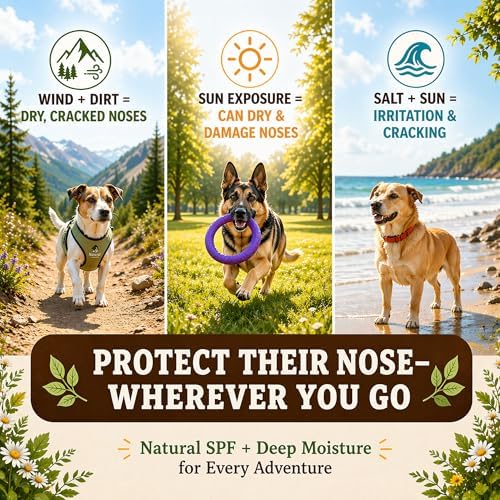 Natural Dog Company Snout Soother Dog Nose Balm – Moisturizer for Dry Crusty Noses, Summer Care for Outdoor Dogs, Hot Weather, Beach Days & Walks with Coconut Oil & Shea Butter, 2 oz Stick