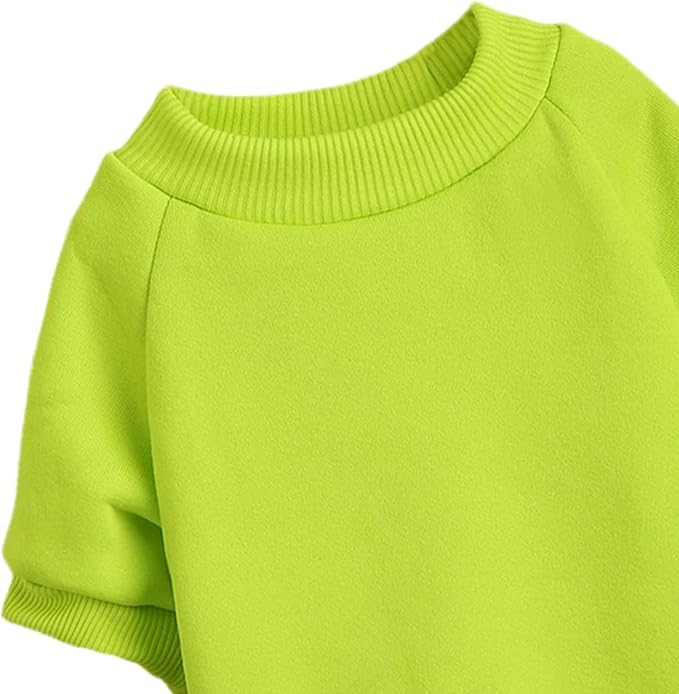 Puppy Sweater for Small Dogs Clothes Warm Winter Cat Clothe Pet Sweatshirt Knitwear Doggie Kitten Clothing, Light Green, Medium