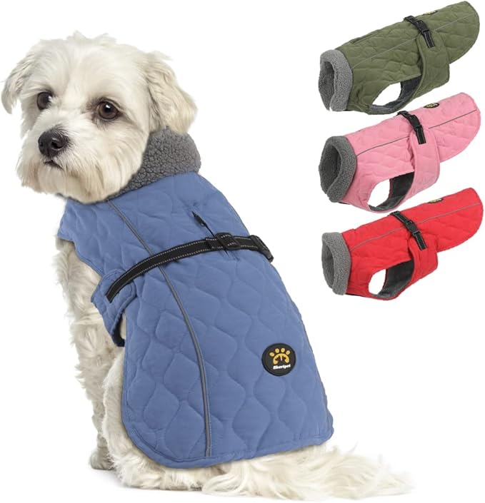 Dog Winter Coats, Fleece Lining Coats for Dogs, Adjustable Windproof Puppy Cold Weather Coat, Water Resistant Quick Release Buckle Dog Jacket for Small Medium Large Dogs, Blue S