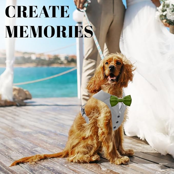 AVERYDAY Dog Tuxedo for Wedding Outfit, Dog Suit and Tie Costumes for Birthday, Halloween, Cosplay, Christmas Party, Pet Formal Wear with Bowtie, Tux for Small Dogs, Chihuahua, Bichon, Maltese, Cats